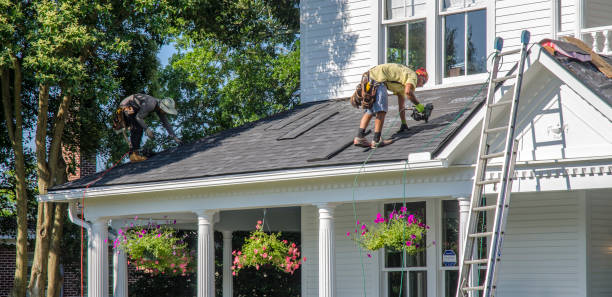 Best Roof Maintenance and Cleaning  in High Bridge, WA